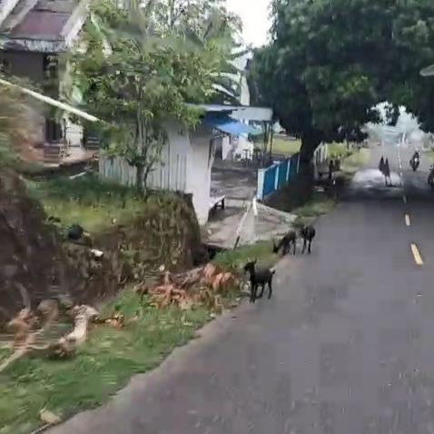 WhatsApp Video 2026-05-16 at 17.21.15.mp4_snapshot_00.27_[2026.05.16_17.55.13]